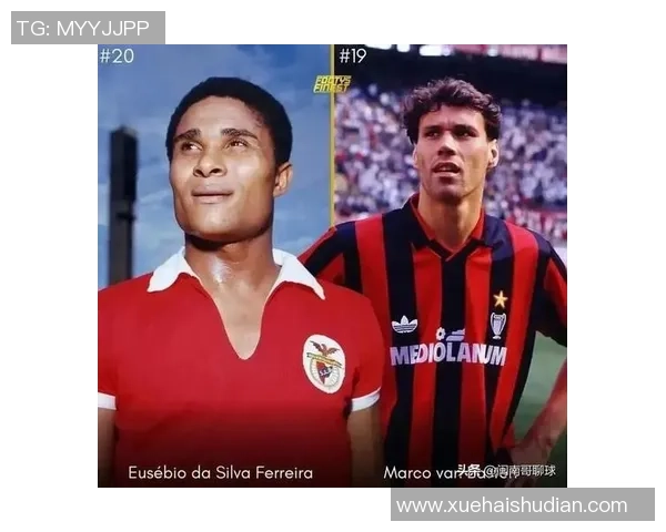 足球巨星的心爱猫咪竟是好友亲手赠送的背后故事揭秘